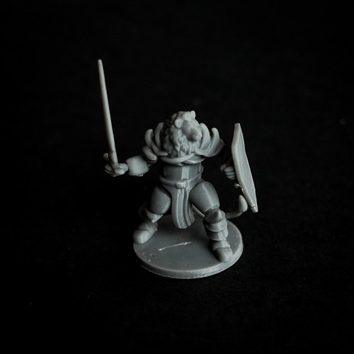 Lion Folk Cleric with sword